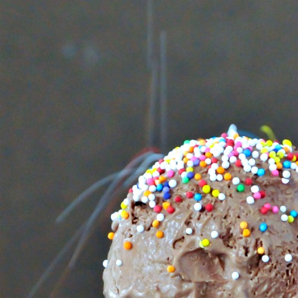 close up of a scoop of Chocolate Oat Milk Ice Cream being sprinkled with sprinkles