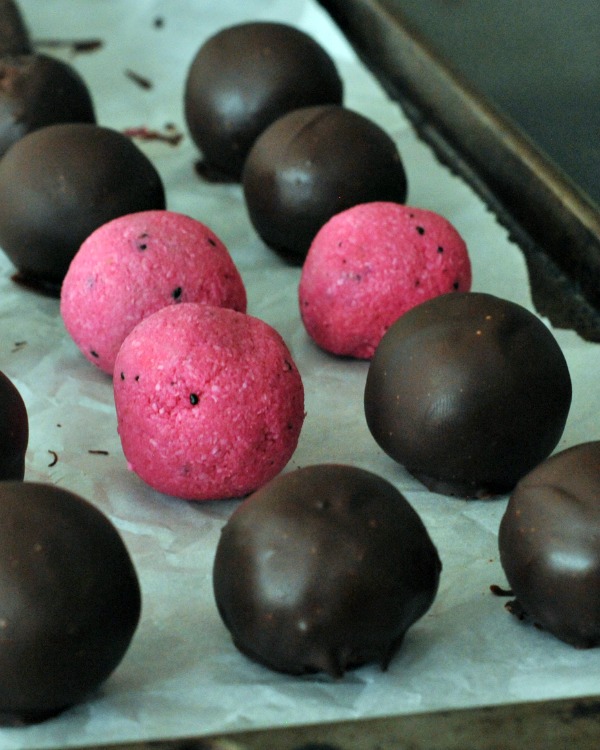 Dark Chocolate Dragon Fruit Coconut Treats with bright pink middles