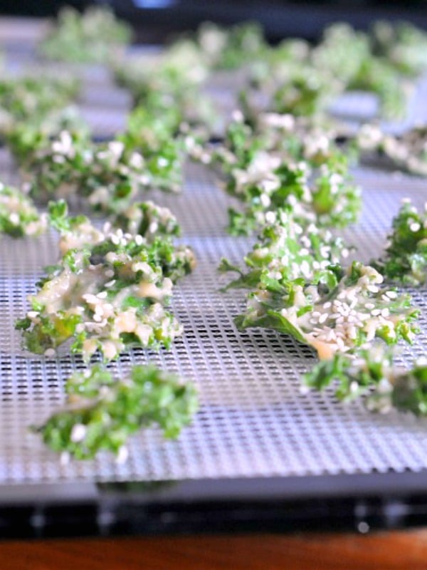 How to make kale chips: a tray of kale before baking.