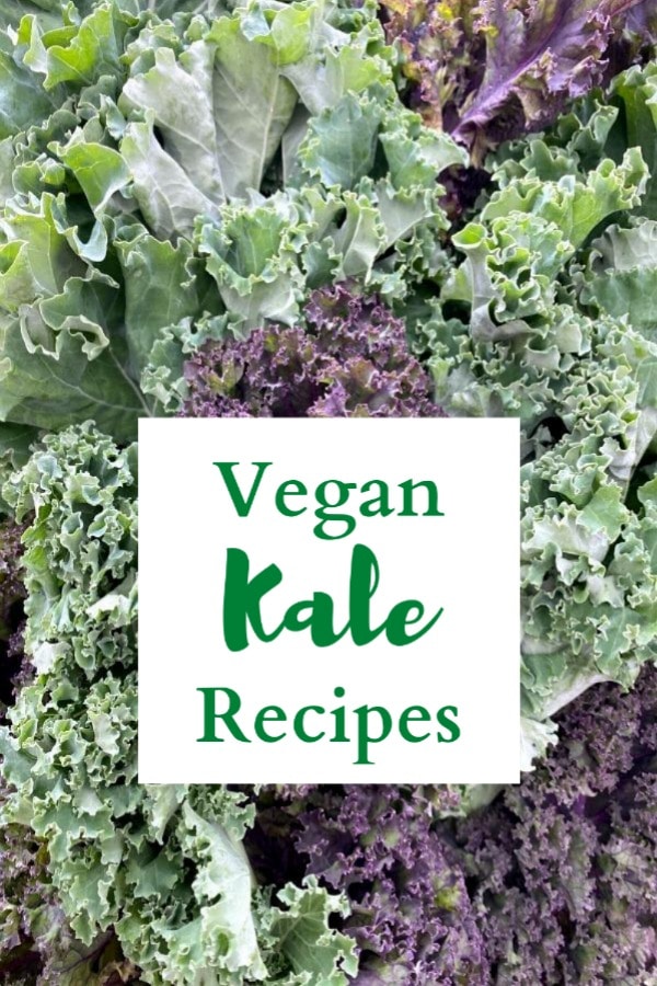 close up image of leaves of purple and green curly kale, with the words Vegan Kale Recipes in green font in a white box.