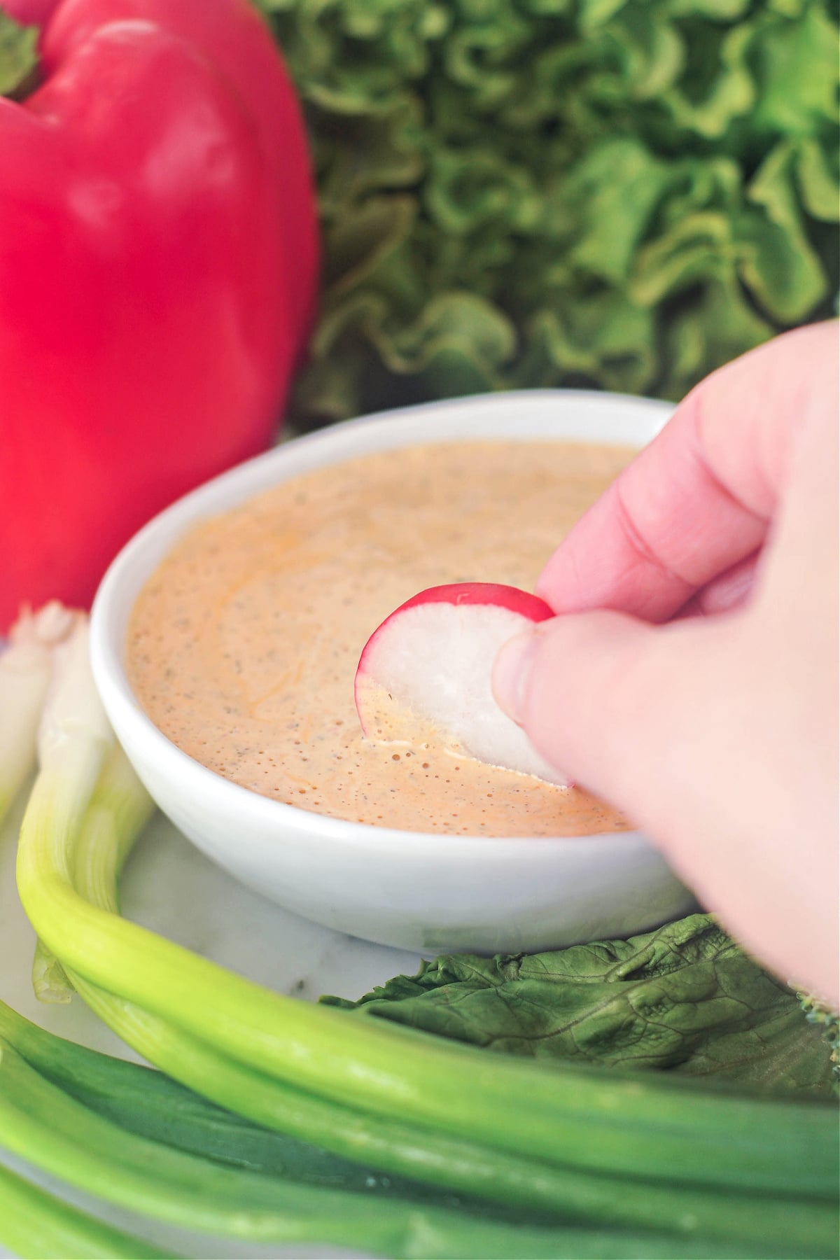 a hand dipping a coin of red and white radish into an orange colored chipotle ranch dressing in a small white ceramic bowl. bowl is surrounded by colorful veggies: bright red pepper, curly green lettuce, and green onions.