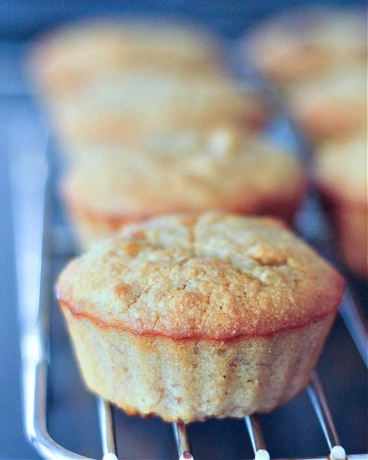 A cooling rack of peanut butter banana muffins, the front one in focus and the rest blurry in the background.