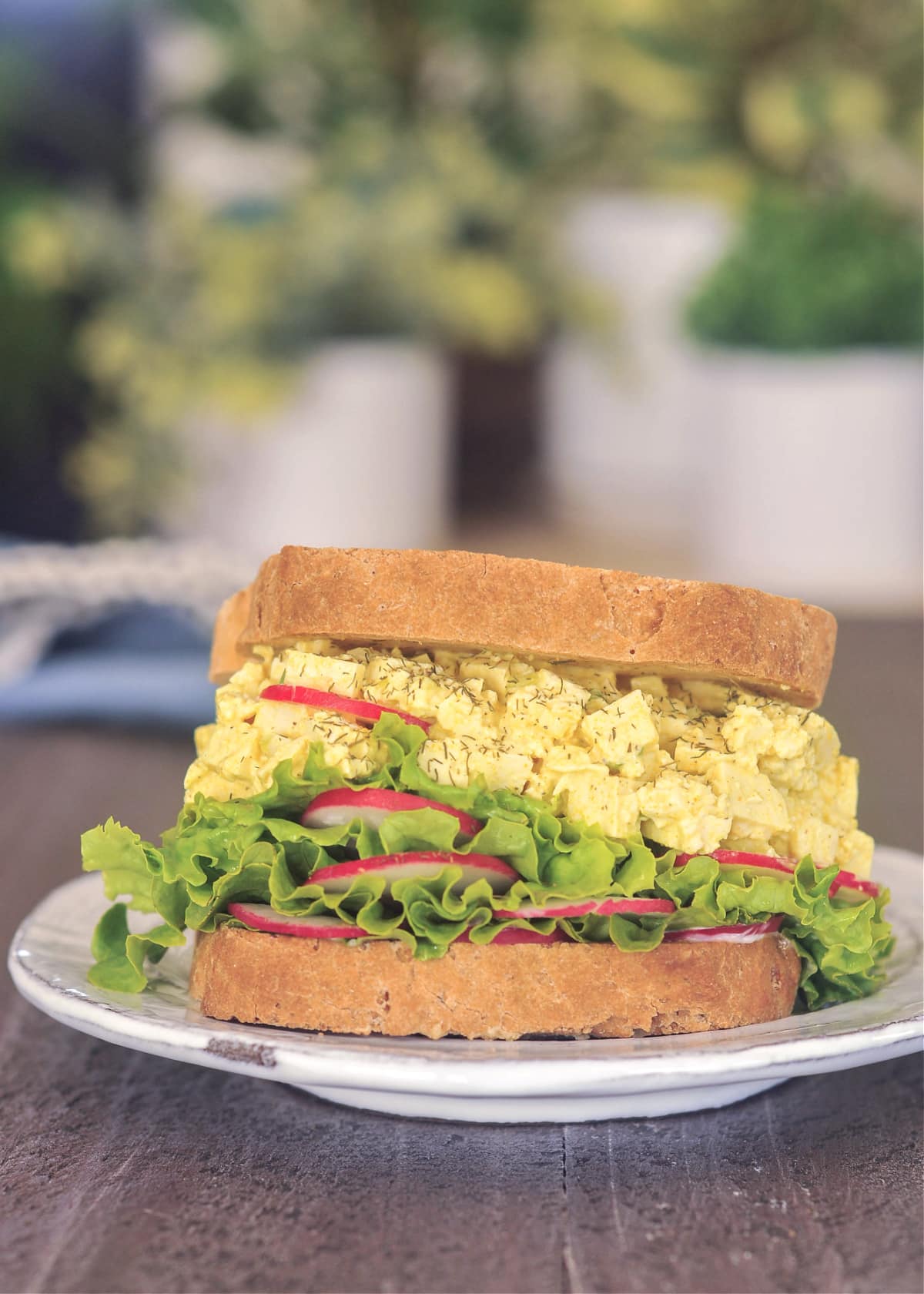 A vegan egg salad sandwich with curly green lettuce and bright red slices of radish.