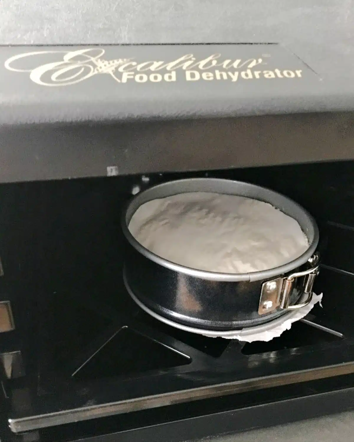 A wheel of vegan brie in a small, 3 inch springform pan sits in a dehydrator.