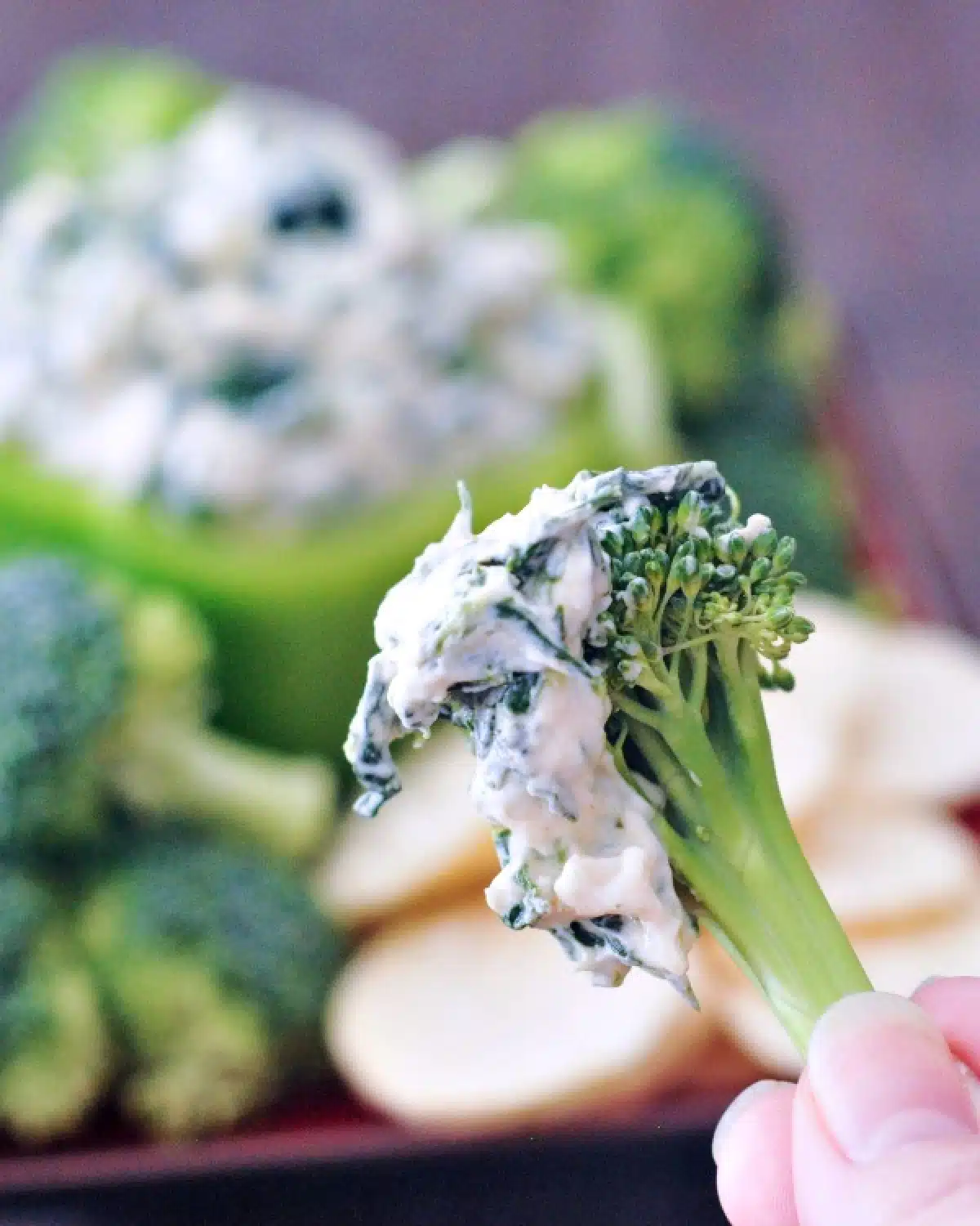 A hand holding a broccoli tree covered in spinach dip.