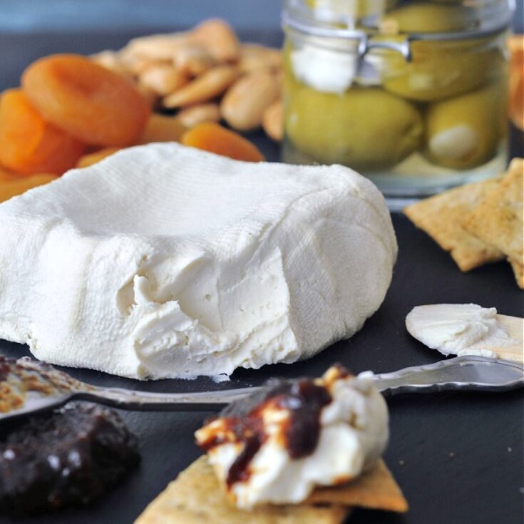 Soy free vegan cream cheese on a cheese board with olives, apricots, jam and crackers.