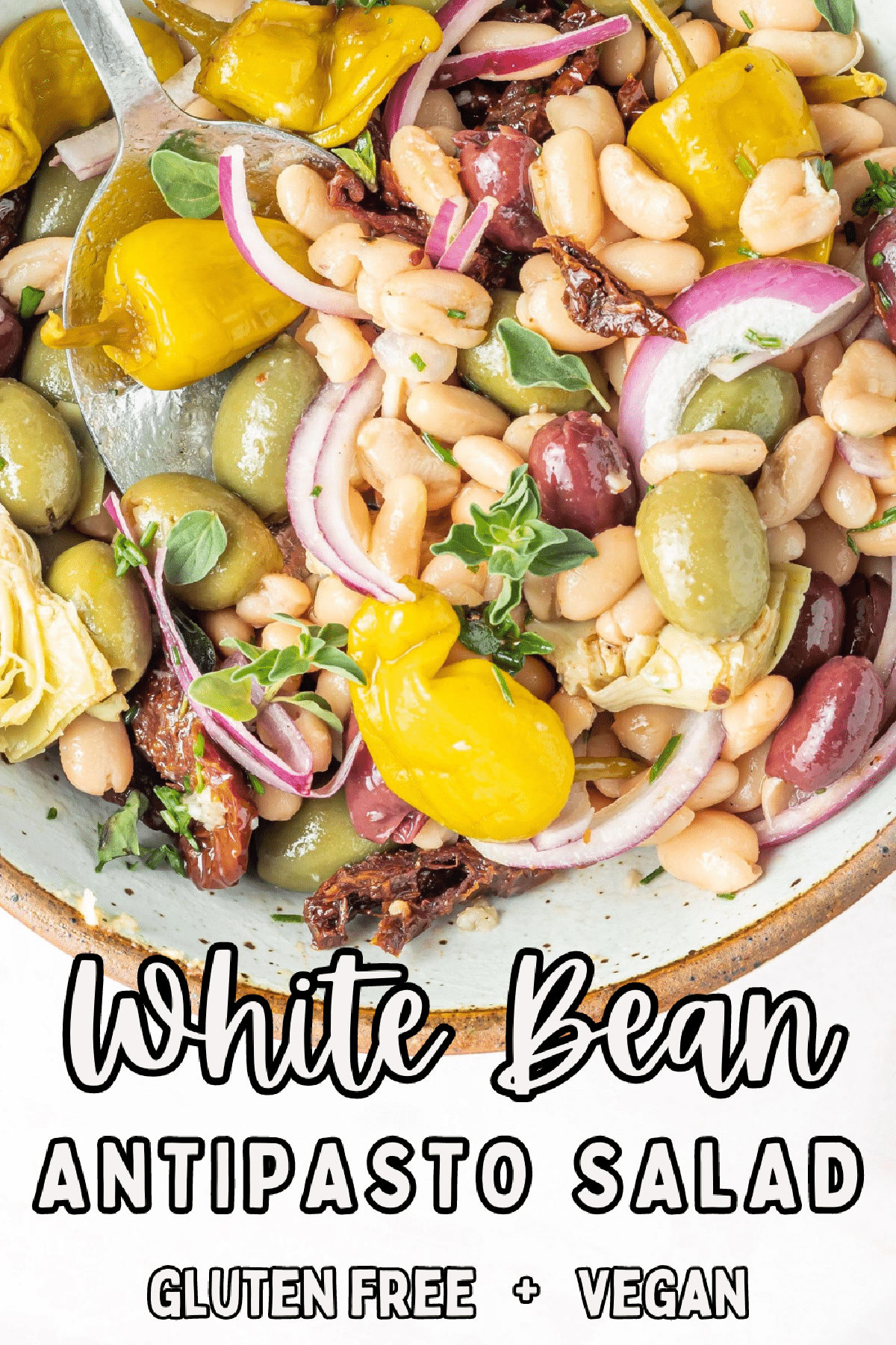 Overhead view of a bowl of antiopasto bean salad, which includes black kalamata and green castelvetrano olives, white beans, sun dried tomatoes, sliced artichoke hearts, sliced red onion, pepperoncini peppers, herbs and spices.