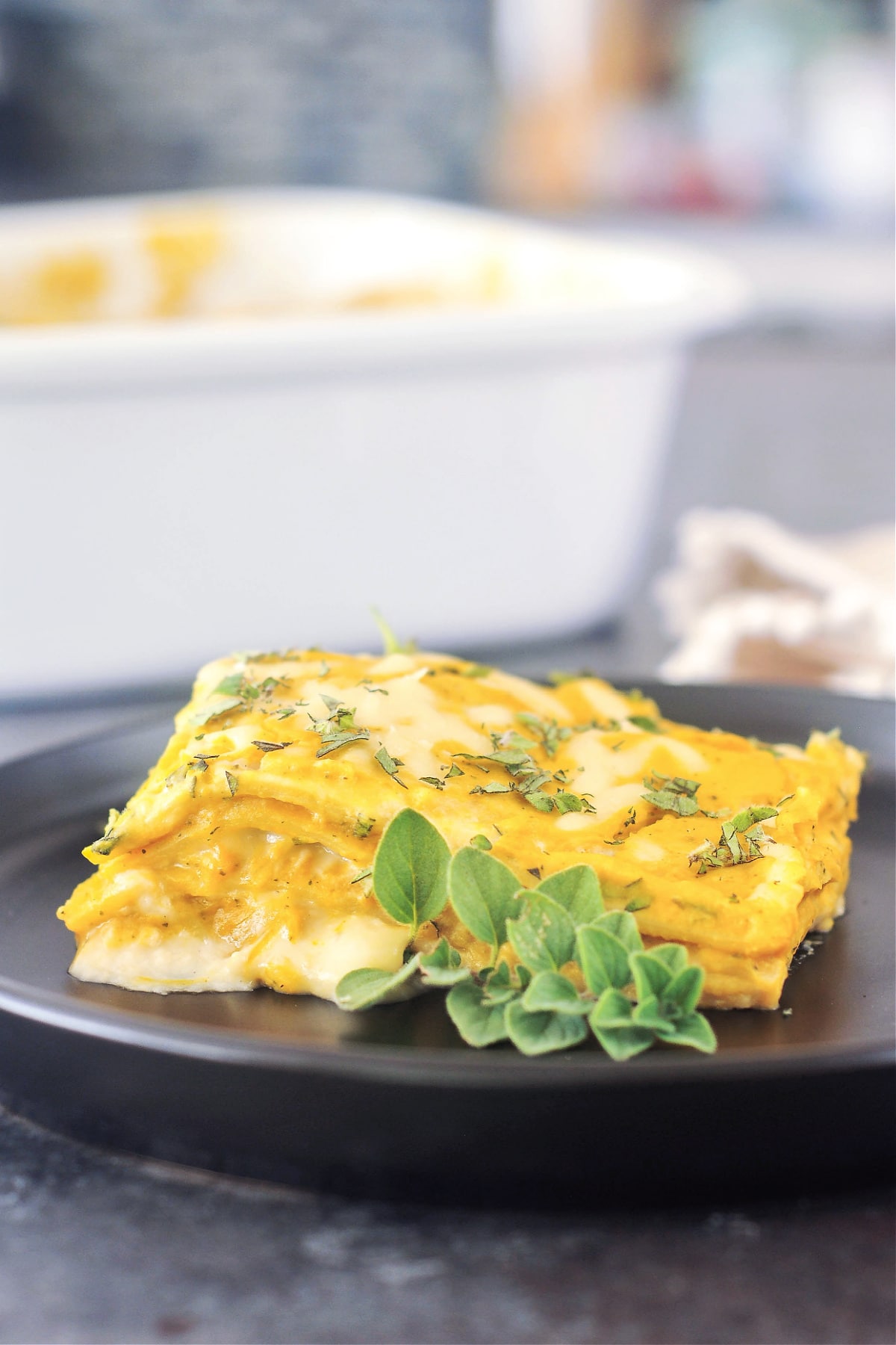 Side view of one serving of butternut sage lasagna on a matte black plate, with the white ceramic baking dish of lasagna blurred in the background. Lasagna is garnished with chopped fresh oregano and one whole sprig of oregano.