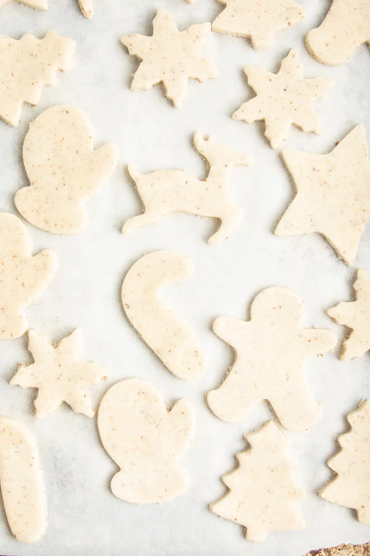 Overhead view of off white cut out sugar cookies arranged on a parchment lined cookie sheet before baking.