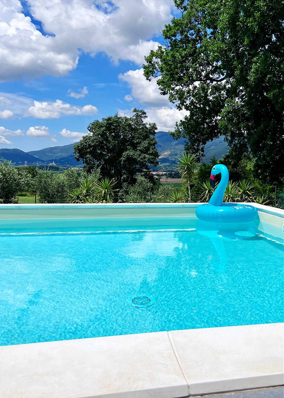 View of a pool and green countryside beyond. A large teal blue swan inflatable toy floats in the pool.